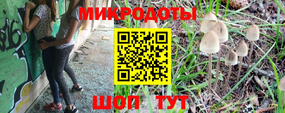 Златоуст  Псилоцибиновые грибы Psilocybe  Вход с VPN 
