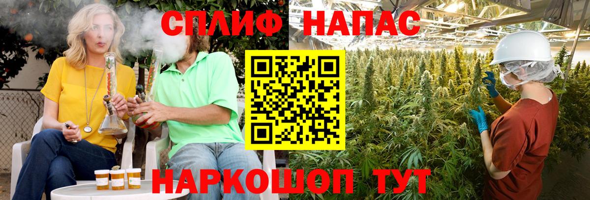 Конопля индика  Каннабис тримм  Златоуст  Вход с VPN  Каннабис OG Kush 